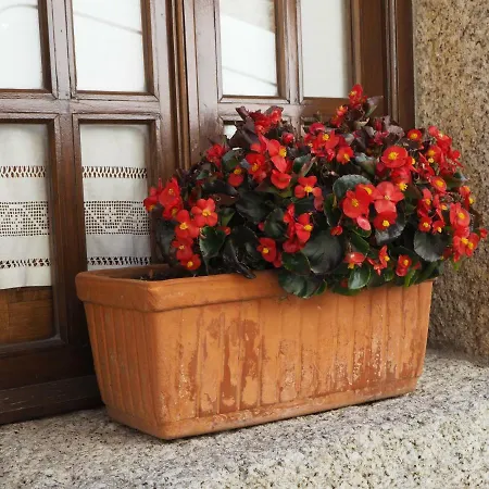 펜션 Casa Do Balcao